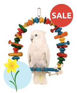 Zoo-Max Wooden Blocks Arch Parrot Swing - Medium